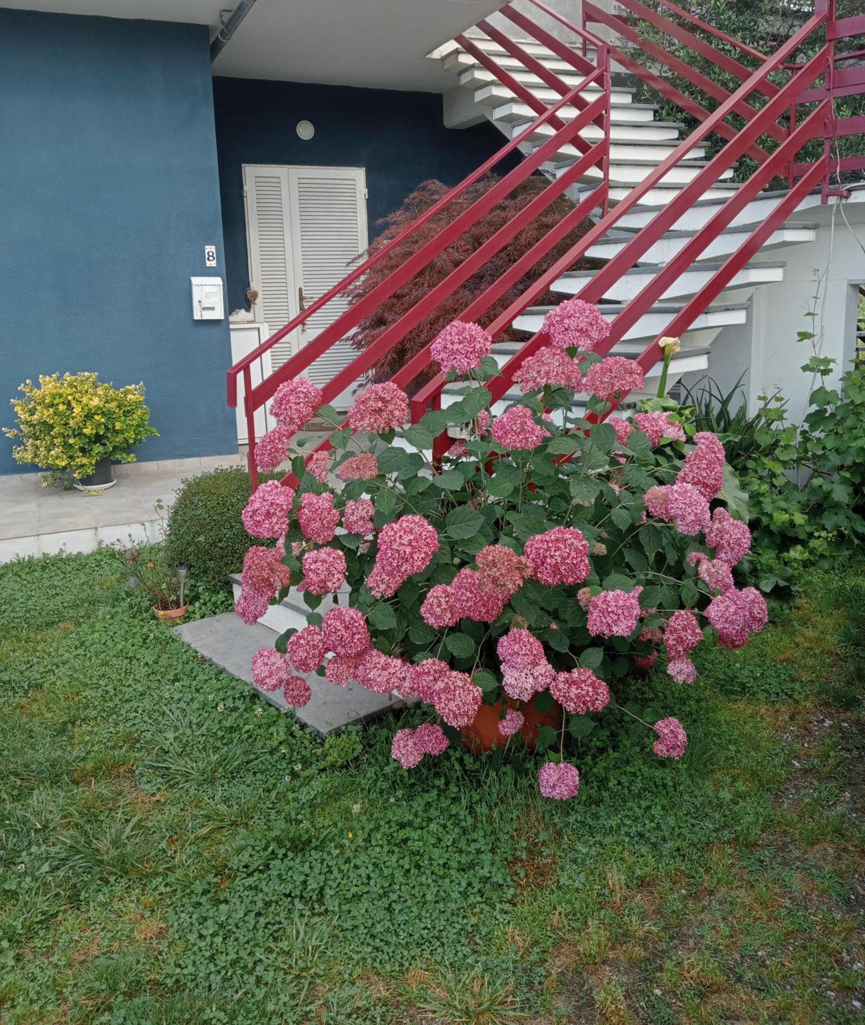 Casa Guanita Apartment Uzzano Exterior foto